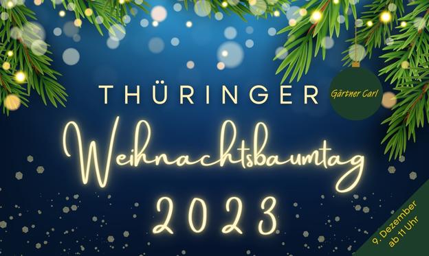 Weihnachtsbäume in Erfurt bei Gärtner Carl. Wirldverkauf am Weihnachtsbaumtag 2023.